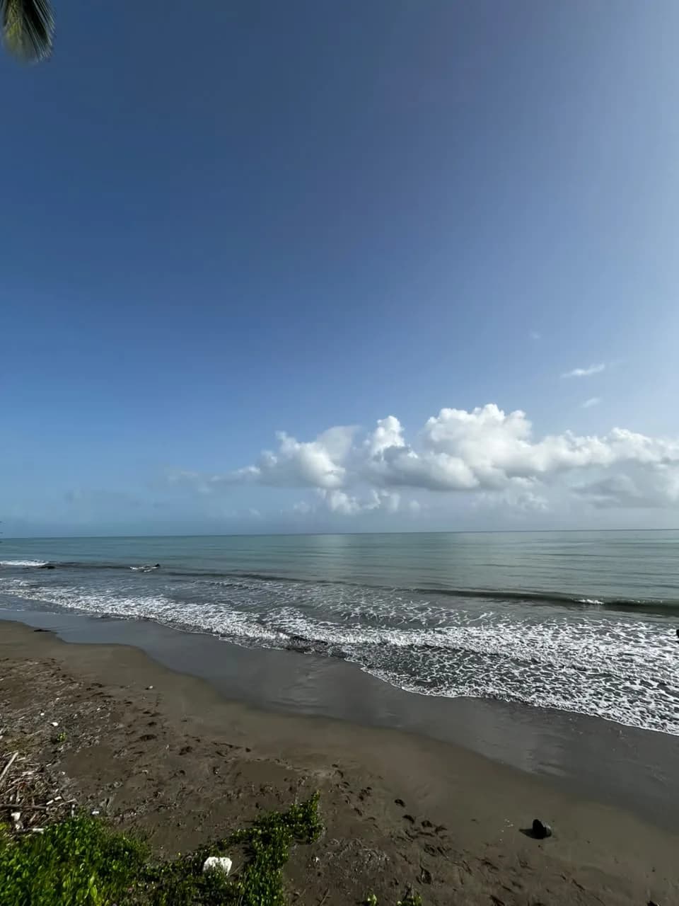 Playa de arena oscura con olas suaves en la costa de Miches